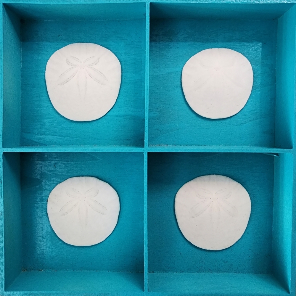Hand crafted sea shell home decor frames in 5 different styles